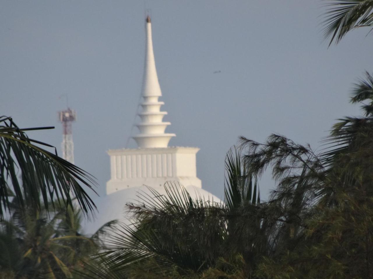 Amssler Beach Stay Kalutara Eksteriør billede