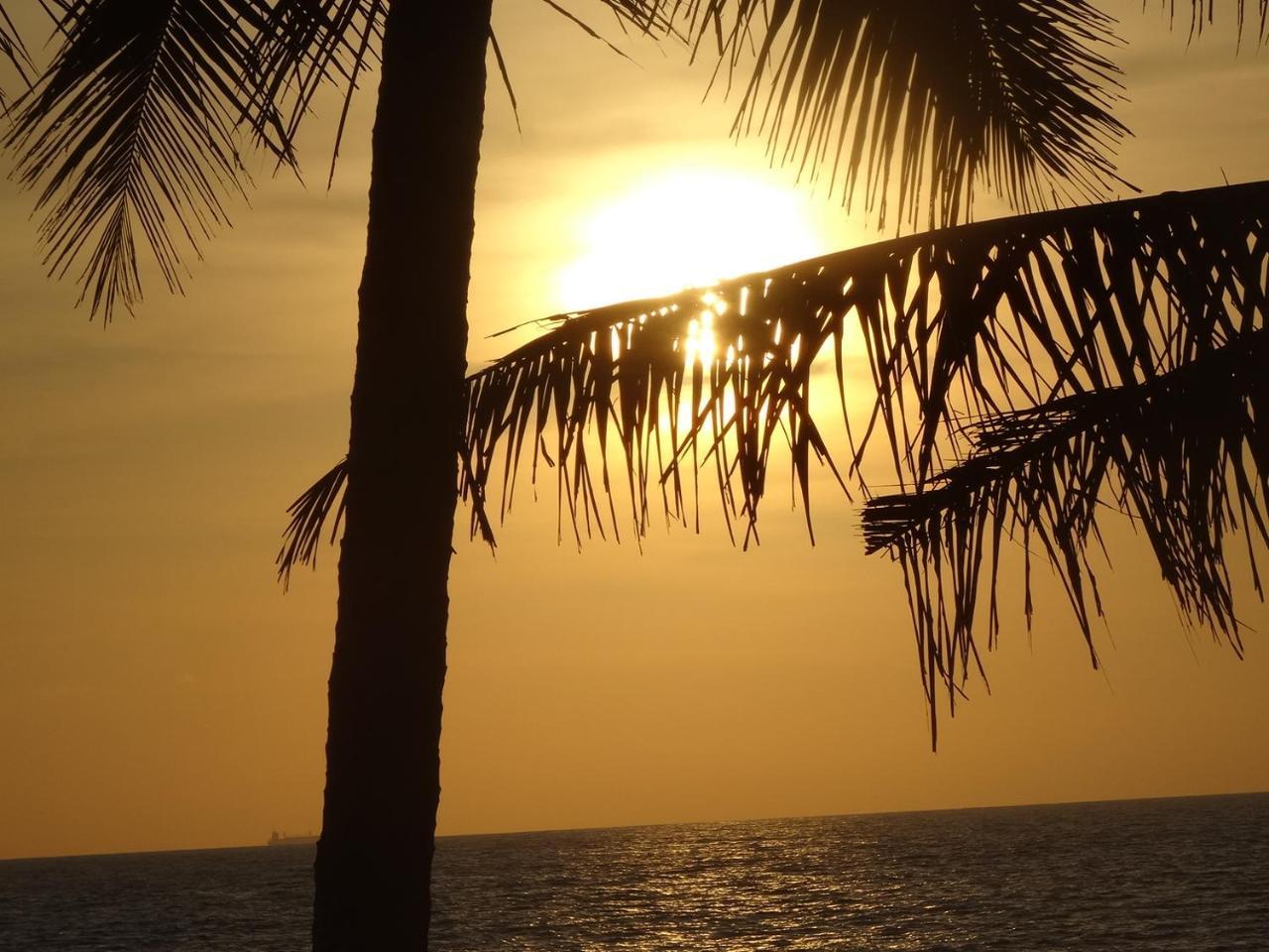 Amssler Beach Stay Kalutara Eksteriør billede